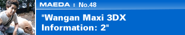MAEDA: No.48 Wangan Maxi 3DX Information: 2