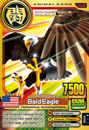 A003: Bald Eagle
