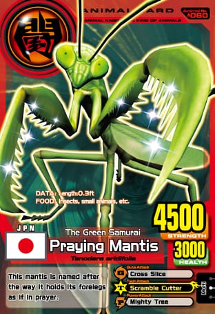 A060: Praying Mantis