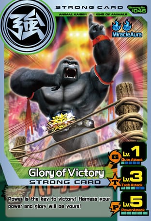 S046: Glory of Victory