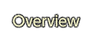 Overview