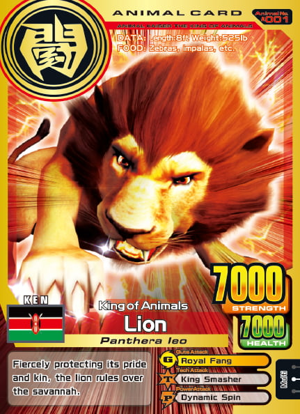 [Animal Card] King of Animals "LION" - Panthera leo -