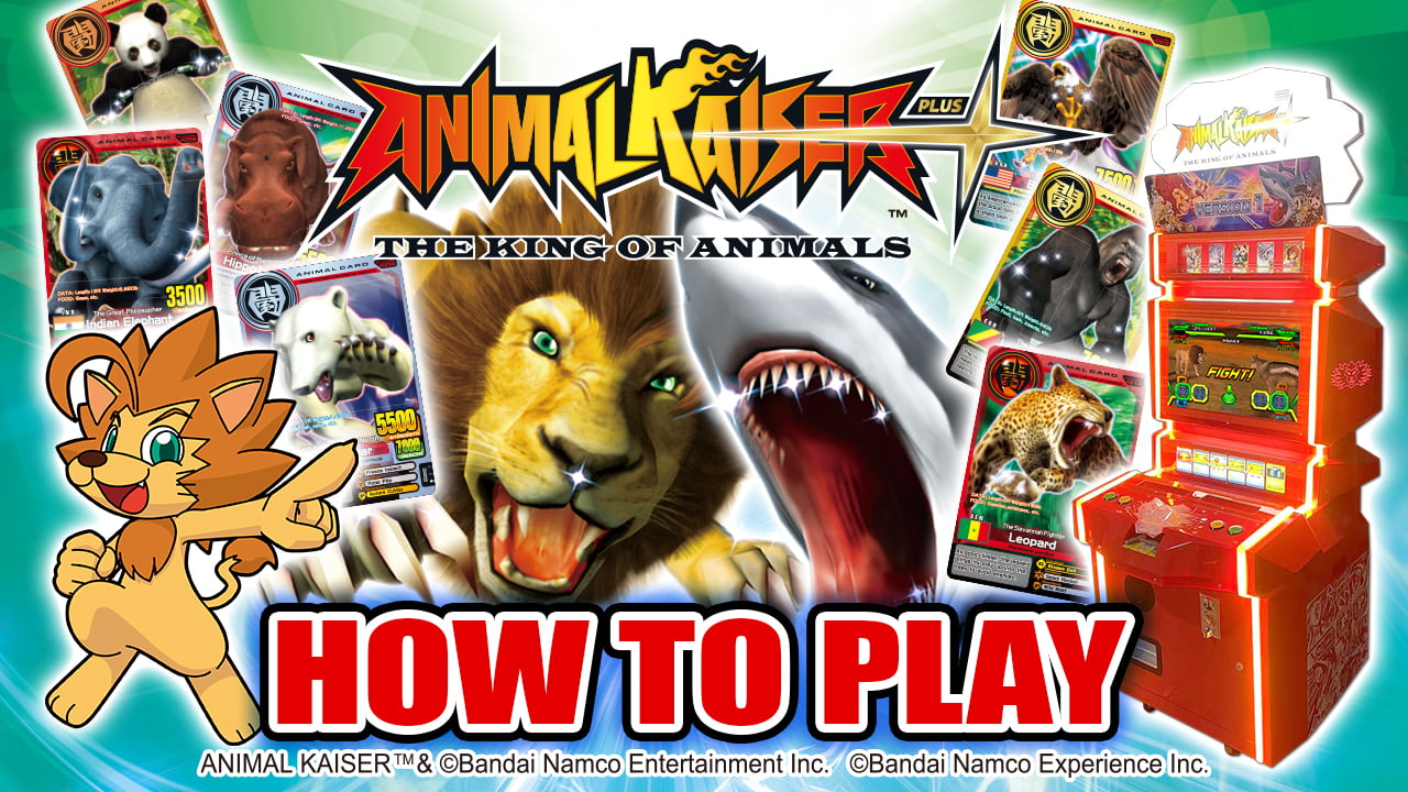 Let me teach you how to play!