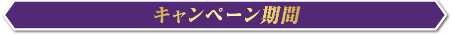 キャンペーン期間
