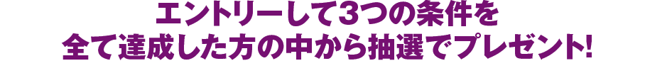 エントリーして３つの条件を全て達成した方の中から抽選でプレゼント！
