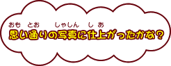 思い通りの写真に仕上がったかな？