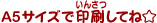A5�T�C�Y�ň�����Ăˁ�