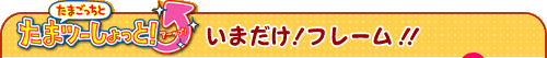 いまだけ！フレーム!!