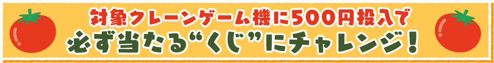 対象クレーンゲーム機に500円投入で必ず当たるくじにチャレンジ１