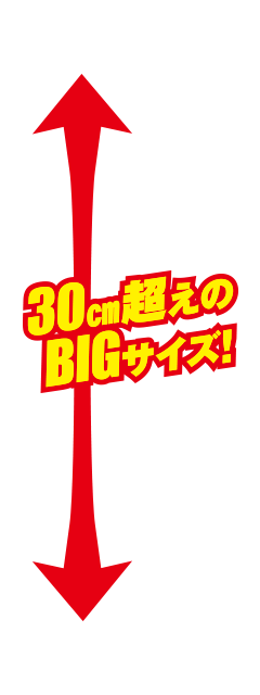 30cm超えのBIGサイズ！