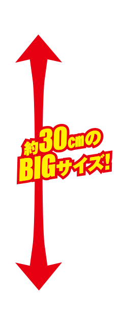 約30cmのBIGサイズ！