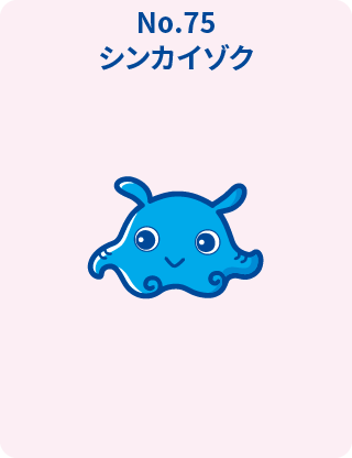 シンカイゾク