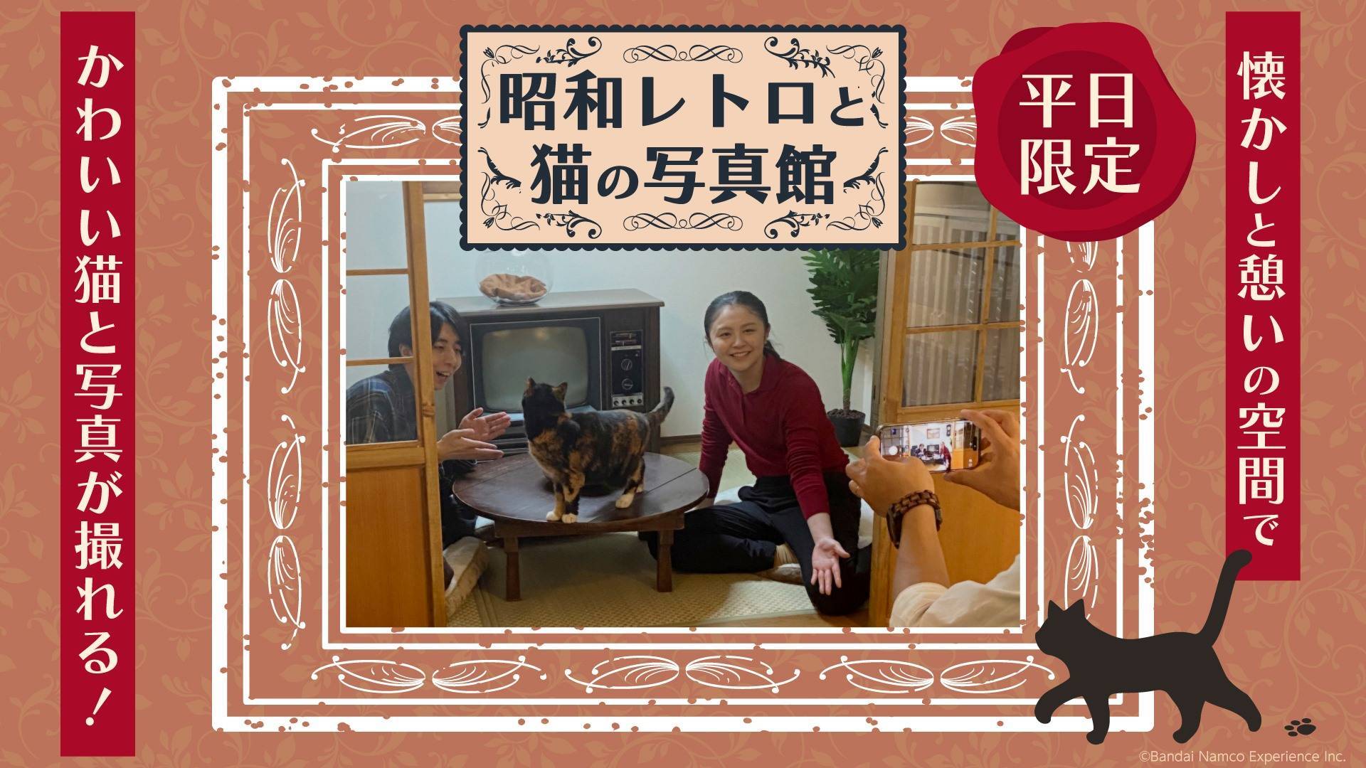 ニャンジャタウン新サービス