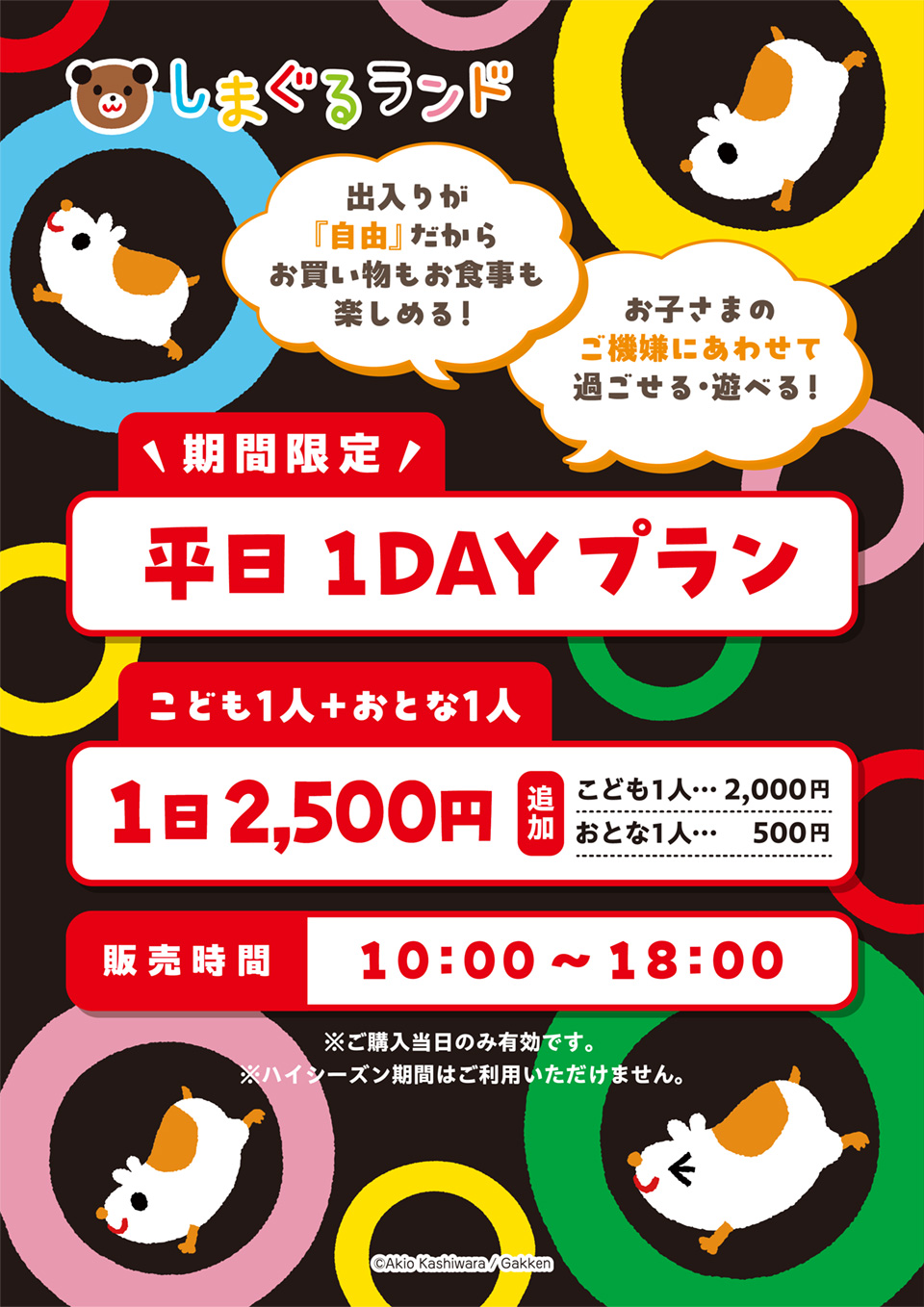平日 1DAYプラン