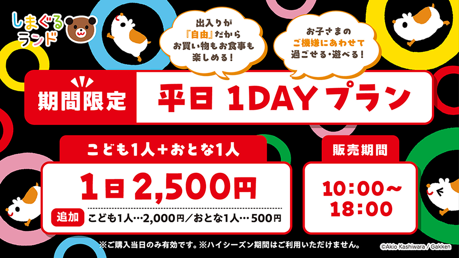 平日1DAYプラン