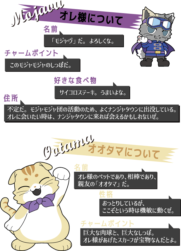 オレ様とオオタマについて