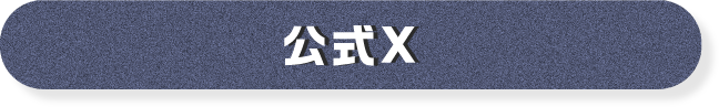 公式X