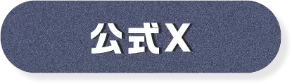 公式X