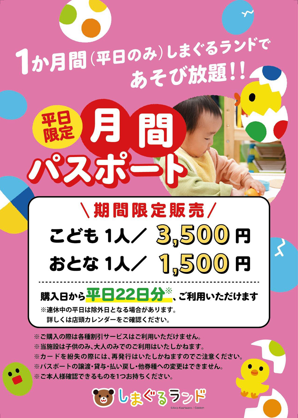 平日限定　月間パスポート