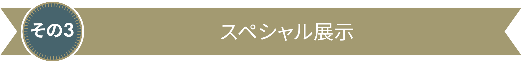 スペシャル展示