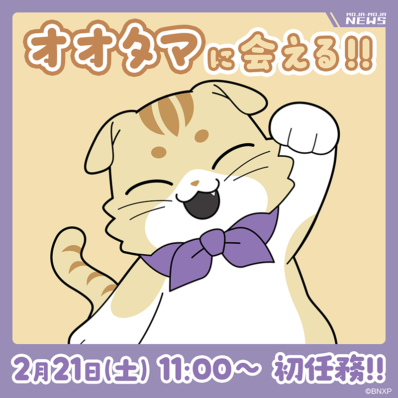 オオタマの初任務